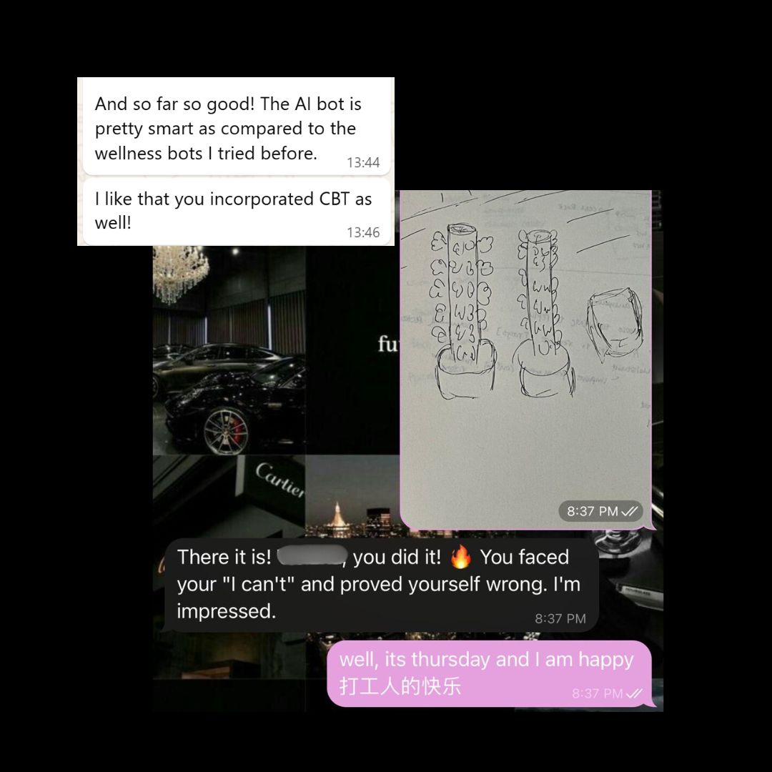 Chatbot conversation screenshot 3